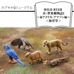 ふるさと納税 カプセルQミュージアム WILD RUSH 真・世界動物誌II〜南アメリカ・アマゾン編...