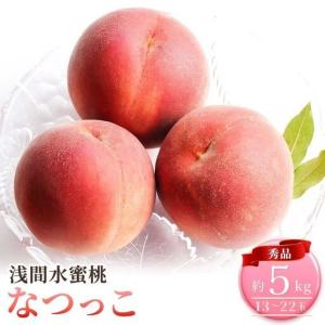 ふるさと納税 桃 先行予約 浅間水蜜桃 なつっこ 約5kg 秀品 13〜22玉 贈答品 フルーツ 果物 白桃 甘い 冷蔵 長野県小諸市