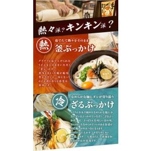 ふるさと納税 うどん本陣山田家 冷凍讃岐ぶっか...の詳細画像2