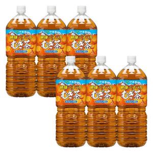 ふるさと納税 健康ミネラルむぎ茶 <2L×6本...の詳細画像3