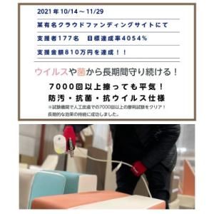 ふるさと納税 積み木クッション PLAYクッシ...の詳細画像3