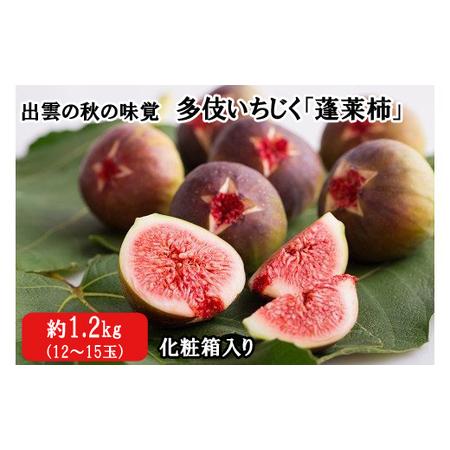 ふるさと納税 出雲の秋の味覚　多伎いちじく「蓬莱柿」化粧箱入り 島根県出雲市