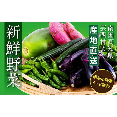 ふるさと納税 朝どれ！ 野菜詰合せ／芸西村で採れた新鮮な野菜6〜8種類をお届けします。特産品 ピーマ...