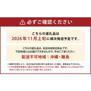 ふるさと納税 山形県おきたま産 りんご (高徳...の詳細画像3