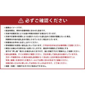 ふるさと納税 山形県おきたま産 りんご (高徳...の詳細画像4