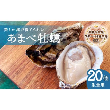 ふるさと納税 あまべ牡蠣 20個 牡蠣 シングルシード 生食用 殻付き かき カキ オイスター 生ガ...