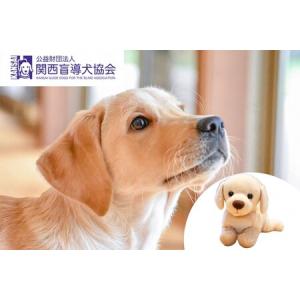 ふるさと納税 【返礼品相当額で盲導犬の育成を支援...の商品画像