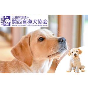 ふるさと納税 盲導犬 訓練 支援寄附 記念品［陶器のクイール（子犬）※欠品時は代替品の盲導犬のぬいぐ...