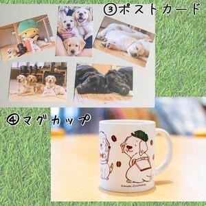 ふるさと納税 【返礼品相当額で盲導犬の育成を支...の詳細画像3