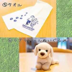 ふるさと納税 【返礼品相当額で盲導犬の育成を支...の詳細画像4
