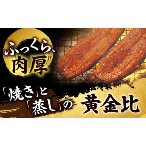 ふるさと納税 うなぎ 浜松 浜名湖産 鰻 蒲焼...の詳細画像1