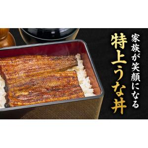 ふるさと納税 うなぎ 浜松 浜名湖産 鰻 蒲焼...の詳細画像2