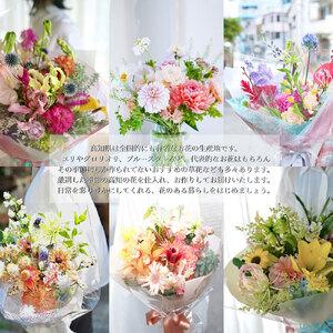 ふるさと納税 《3ヶ月定期便 》芸西村産季節の...の詳細画像2