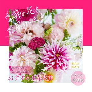 ふるさと納税 《12ヶ月定期便 》芸西村産季節の花束・フラワーアレンジメント（ブルースター・トルコキキョウ・ダリヤ）【生産者直送】 高知県芸西村