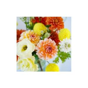 ふるさと納税 《12ヶ月定期便 》芸西村産季節...の詳細画像3