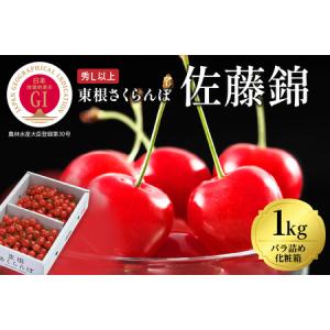 ふるさと納税 GI「東根さくらんぼ」佐藤錦1kgバラ詰め(500g×2ハ゜ック）