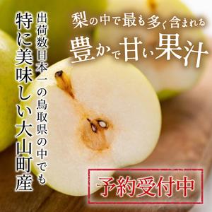 ふるさと納税 【先行予約】DS-15 新甘泉梨...の詳細画像2