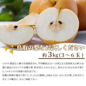 ふるさと納税 【先行予約】DS-15 新甘泉梨...の詳細画像3