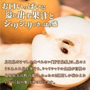 ふるさと納税 【先行予約】DS-15 新甘泉梨...の詳細画像4