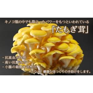 ふるさと納税 エルゴチオネイン含有 たもぎ茸濃...の詳細画像1