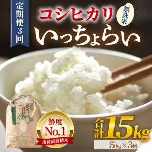 ふるさと納税 【先行予約】【令和8年産・新米】【一等米】《定期便3回》いっちょらい 無洗米 5kg × 3回（計15kg）／ 福井県産 ブランド米.. 福井県あわら市
