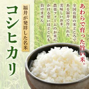 ふるさと納税 【先行予約】【令和8年産・新米】...の詳細画像1