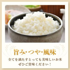 ふるさと納税 【先行予約】【令和8年産・新米】...の詳細画像3