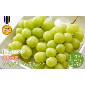 ふるさと納税 【2026年発送★先行予約】甘さ抜群プリプリ シャインマスカット 2〜3房 1.2kg以上 168-001  | フルーツ おすすめシャインマスカッ.. 山梨県笛吹市
