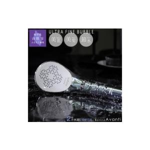 ふるさと納税 No.420 ボリーナ アヴァンティ 岐阜県山県市