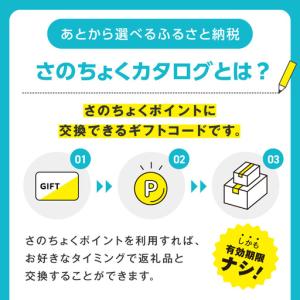 ふるさと納税 【有効期限なし】 あとから選べる...の詳細画像2