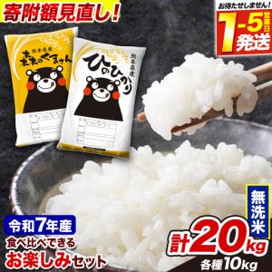 ふるさと納税 村山市 新米 令和8年産 はえぬき 無洗米 20kg : さとふる
