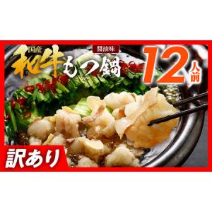 ふるさと納税 和牛もつ鍋12人前（6人前×2セット）醤油味