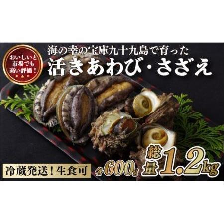 ふるさと納税 【レビュー★4.9】九十九島 活あわび600g・さざえ600g セット 生食可！【総計...