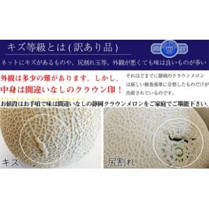 ふるさと納税 【12か月定期便】クラウンメロン...の詳細画像1