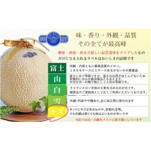 ふるさと納税 【12か月定期便】クラウンメロン...の詳細画像2