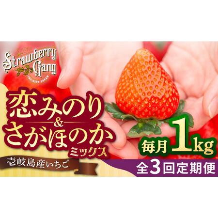 ふるさと納税 【全3回 定期便】《2025年2月3月4月お届け》 いちご イチゴ 1kg （250g...