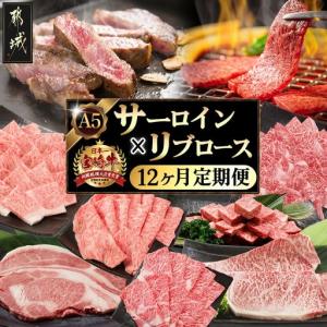ふるさと納税 【A5】宮崎牛サーロイン×宮崎牛リブロース三昧定期便(12ヶ月)〔01-070-T12〕_(都城市) 都城産宮崎牛 牛肉 スライス / サイコ.. 宮崎県都城市