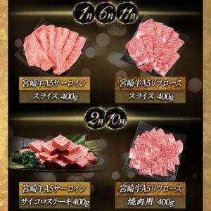 ふるさと納税 【A5】宮崎牛サーロイン×宮崎牛...の詳細画像1