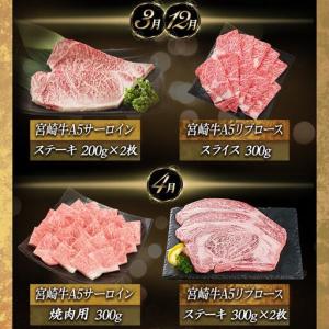 ふるさと納税 【A5】宮崎牛サーロイン×宮崎牛...の詳細画像2