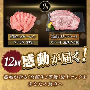 ふるさと納税 【A5】宮崎牛サーロイン×宮崎牛...の詳細画像4