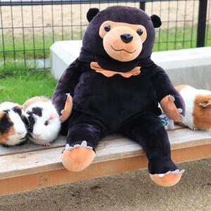 マレーちゃん S ぬいぐるみ クマ くま マレーグマ サン・アロー 復刻