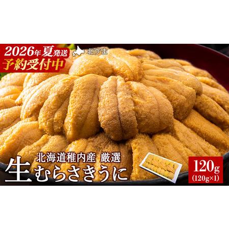 ふるさと納税 【先行予約】【厳選PREMIUM】美味しいウニは昆布の名産地にあり!生むらさきうに12...