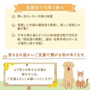 ふるさと納税 【犬猫等愛護活動、命を繋ぐ活動へ...の詳細画像3