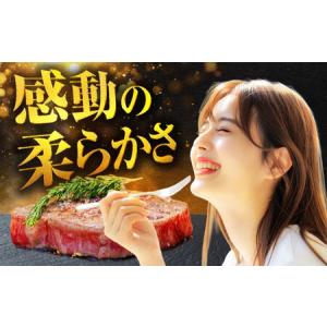 ふるさと納税 【12回定期便】飛騨牛 ヒレステ...の詳細画像1