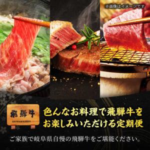 ふるさと納税 【12回定期便】飛騨牛 贅沢定期...の詳細画像1