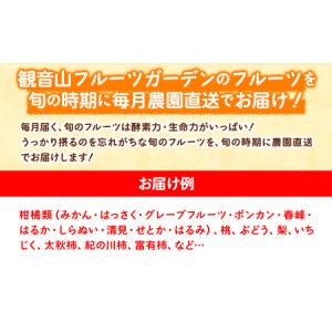 ふるさと納税 フルーツ頒布会「旬宴」-竹 全1...の詳細画像1