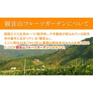 ふるさと納税 フルーツ頒布会「旬宴」-竹 全1...の詳細画像2