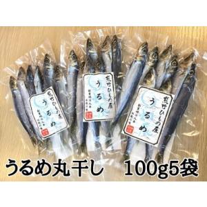 ふるさと納税 熊野の老舗干物屋　畑辰商店【うるめ丸干し☆100ｇ入り】×5袋 三重県熊野市