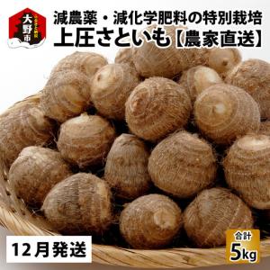 上庄の里芋 10kg入 福井県大野市産里いも(サトイモ) 特産品 里イモ