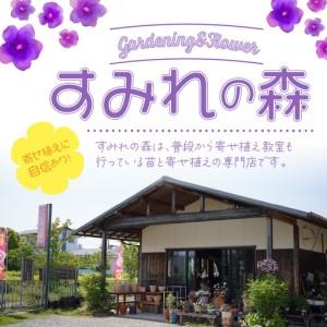 ふるさと納税 花の寄せ植え 35cm鉢【005...の詳細画像1